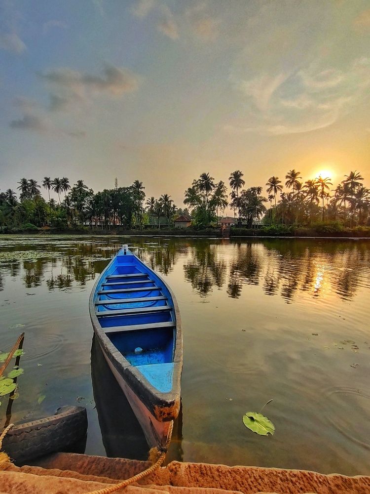 Фотография автора Pavitra Shettigar