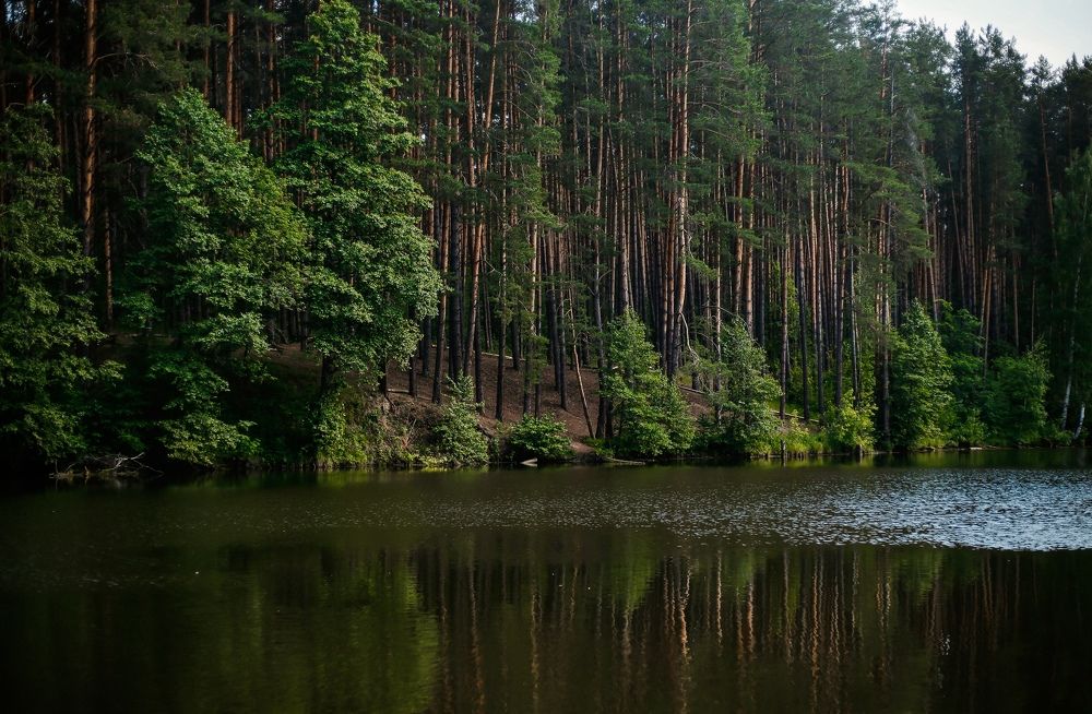 Photograph by Элиза Миникаева