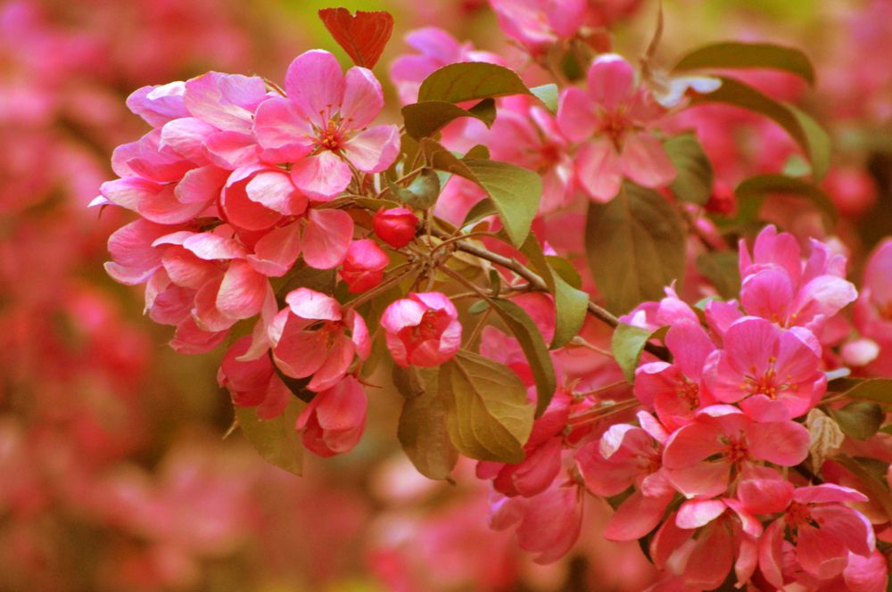 Photograph by Светлана Муравьева