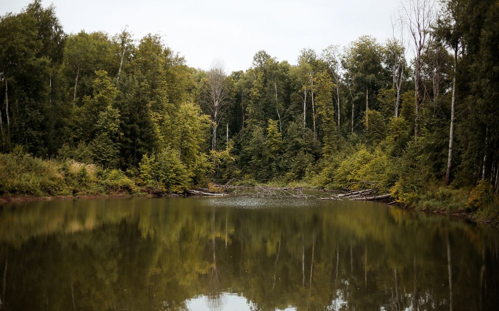 Photograph by Элиза Миникаева