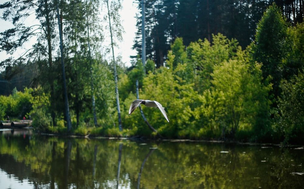 Photograph by Элиза Миникаева