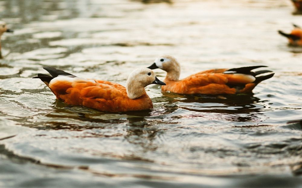 Photograph by Элиза Миникаева