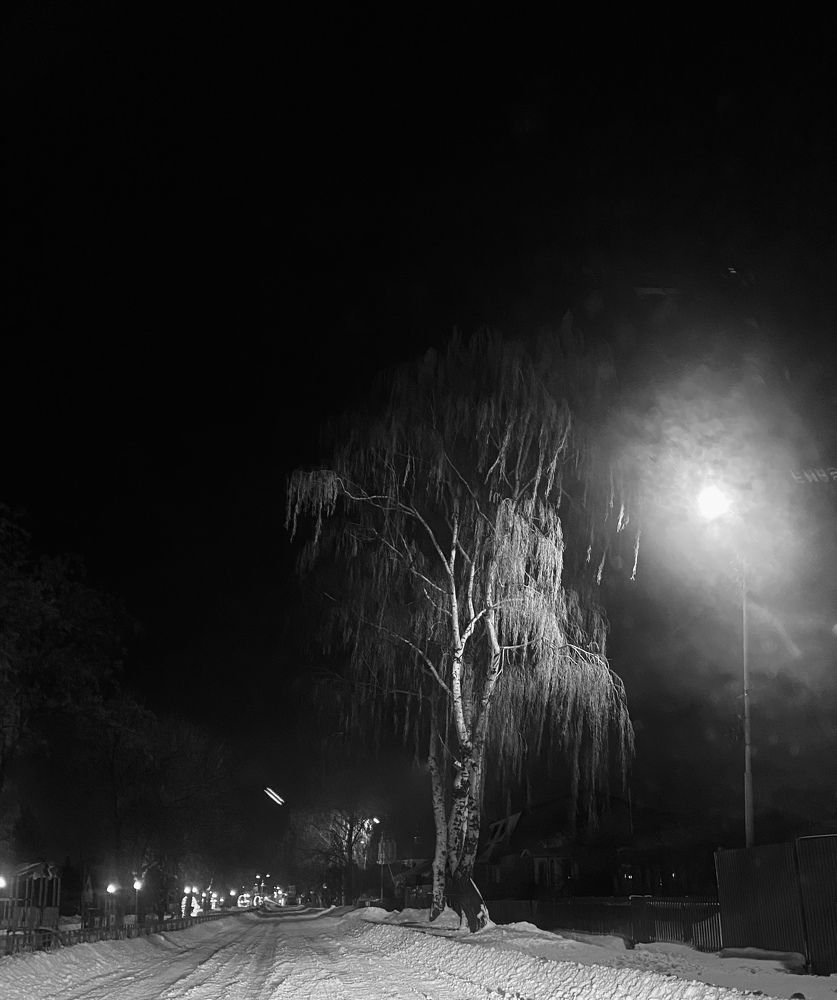 Photograph by Елена Гущина