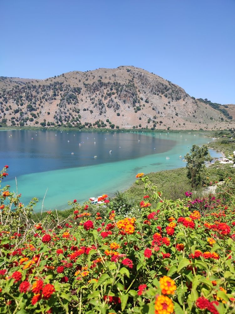 Photograph by Елена