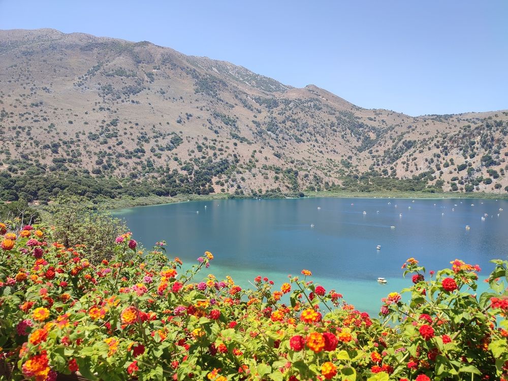 Photograph by Елена