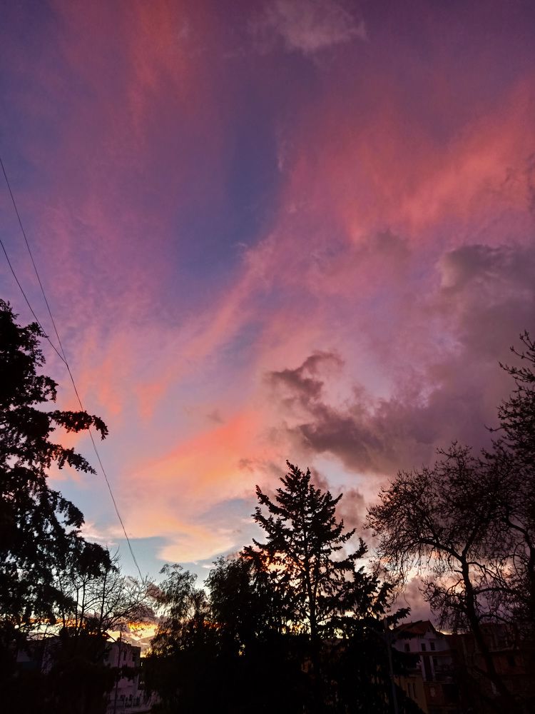 Photo #8368481