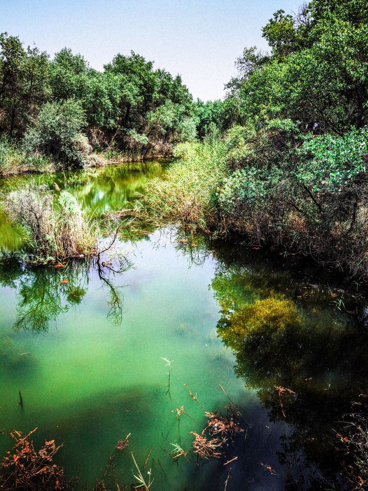 Photograph by Oleg Guchgeldiev