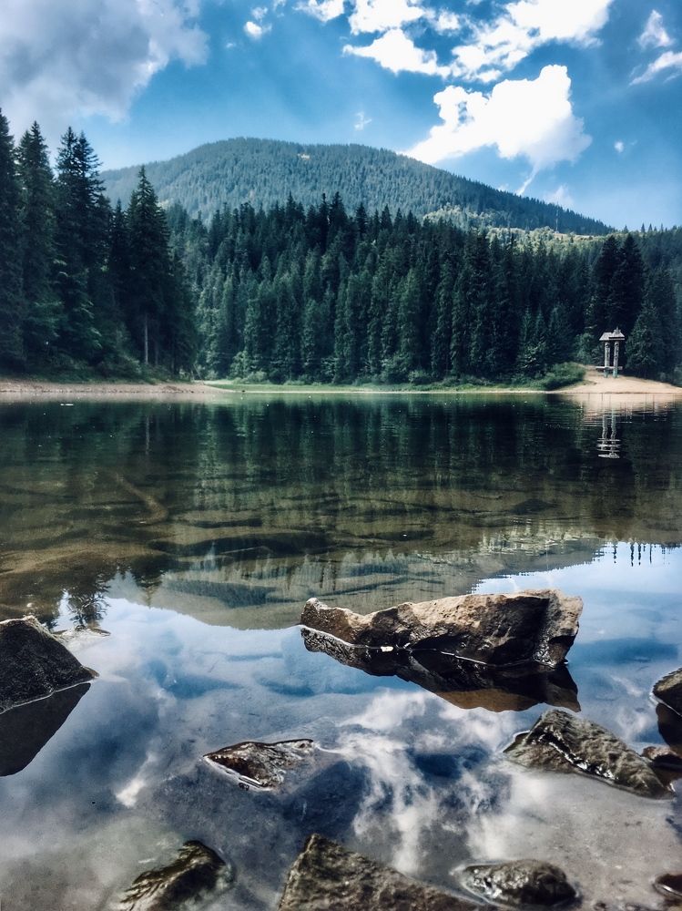 Photograph by Nadezhda