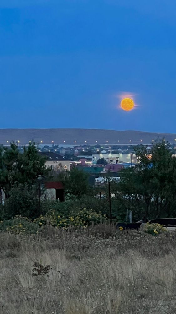 Photograph by Oksana lukyanova