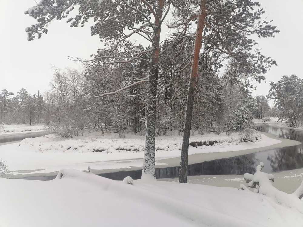 Photograph by Елена