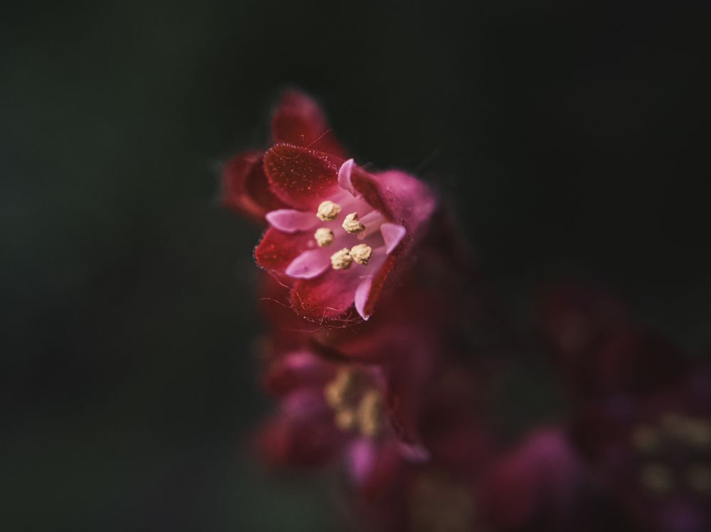 Photograph by Александр Безуглый