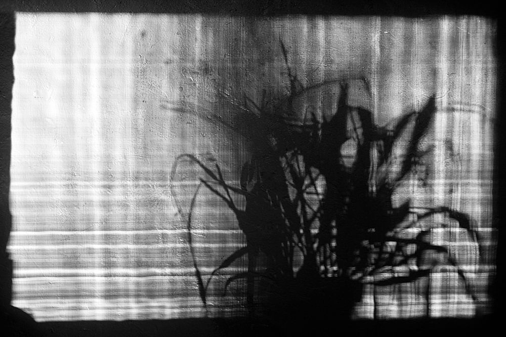 Photograph by Елена Кудейкина