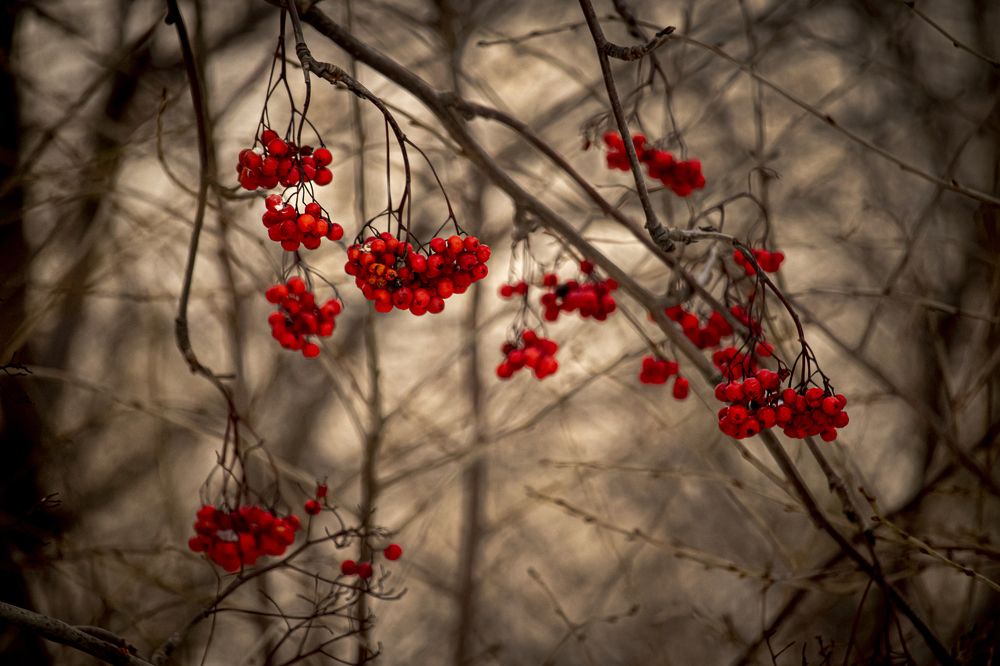Photograph by Юлия Куликова