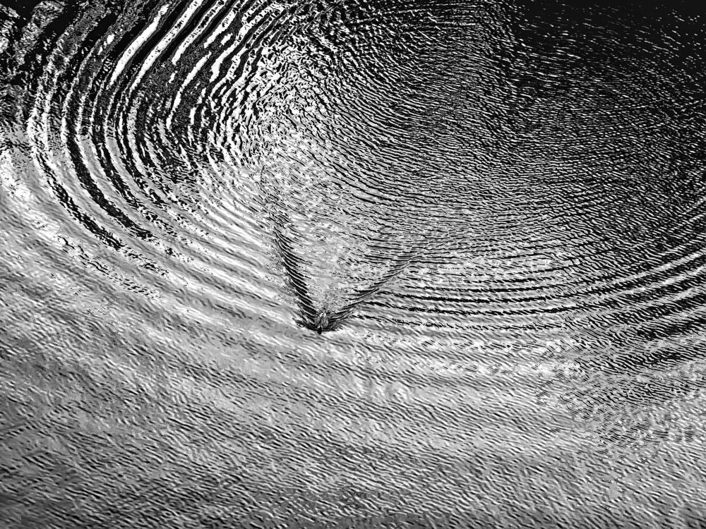 Геометрия волн.