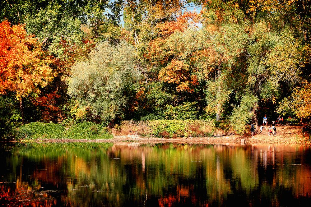 Photograph by Елена Кудейкина