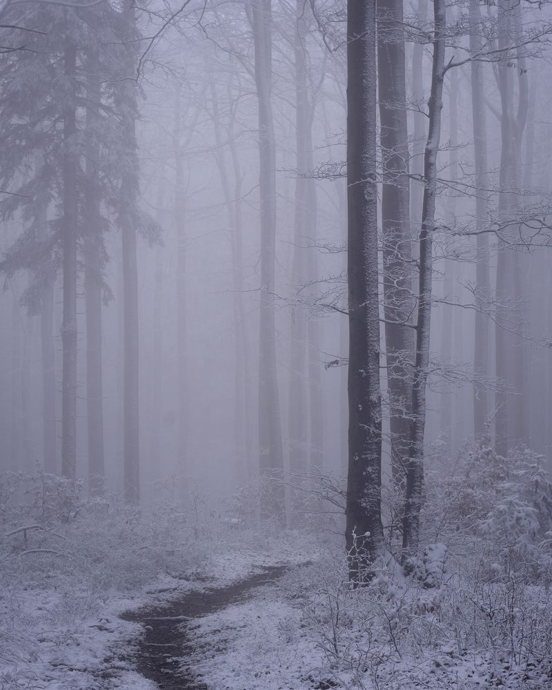 Photograph by Дмитрий Овчинников