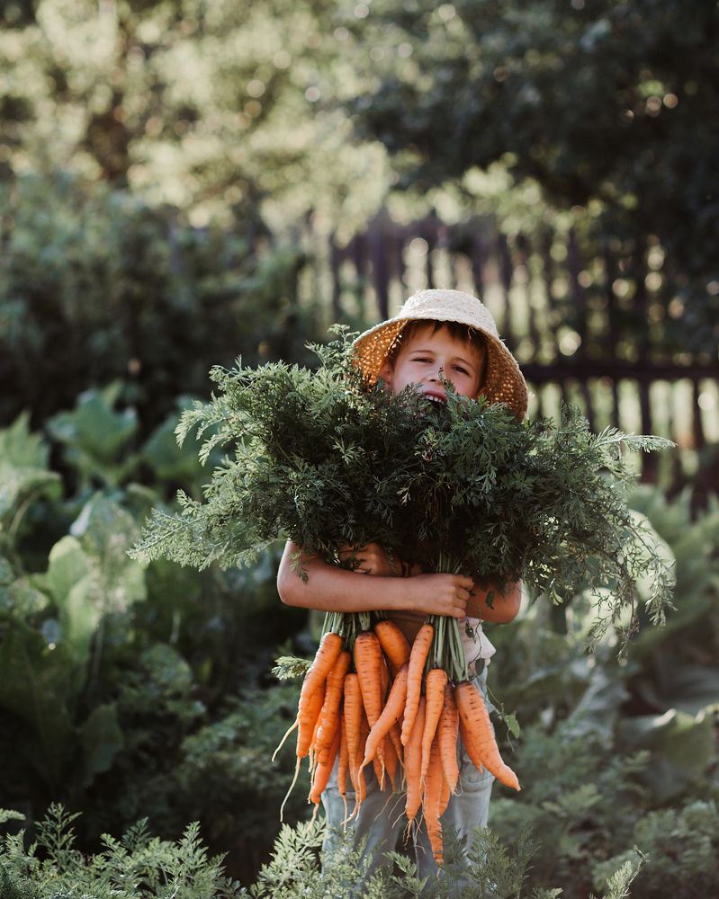 Фотография автора Анна Беляева