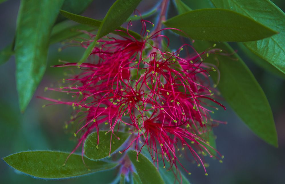 Photograph by Andrei