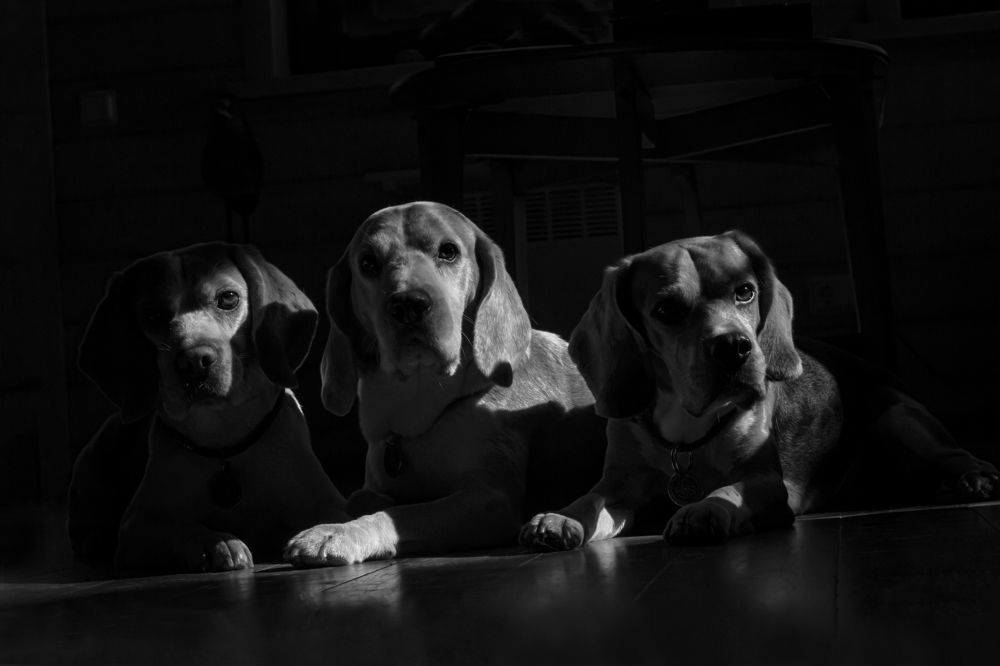 Photograph by Юлия Куликова