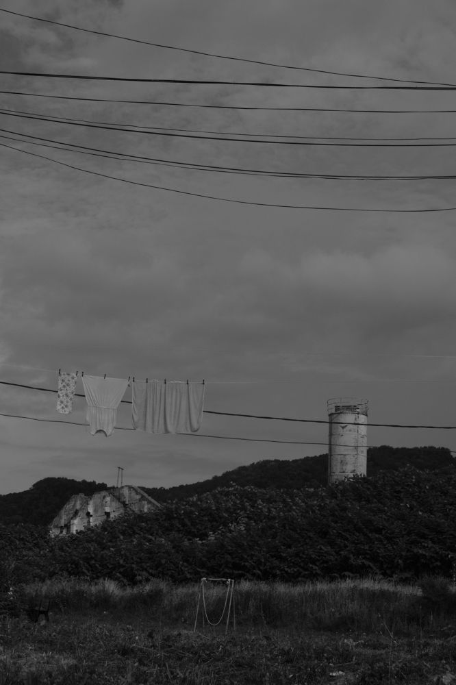 Photograph by Ирина Тен