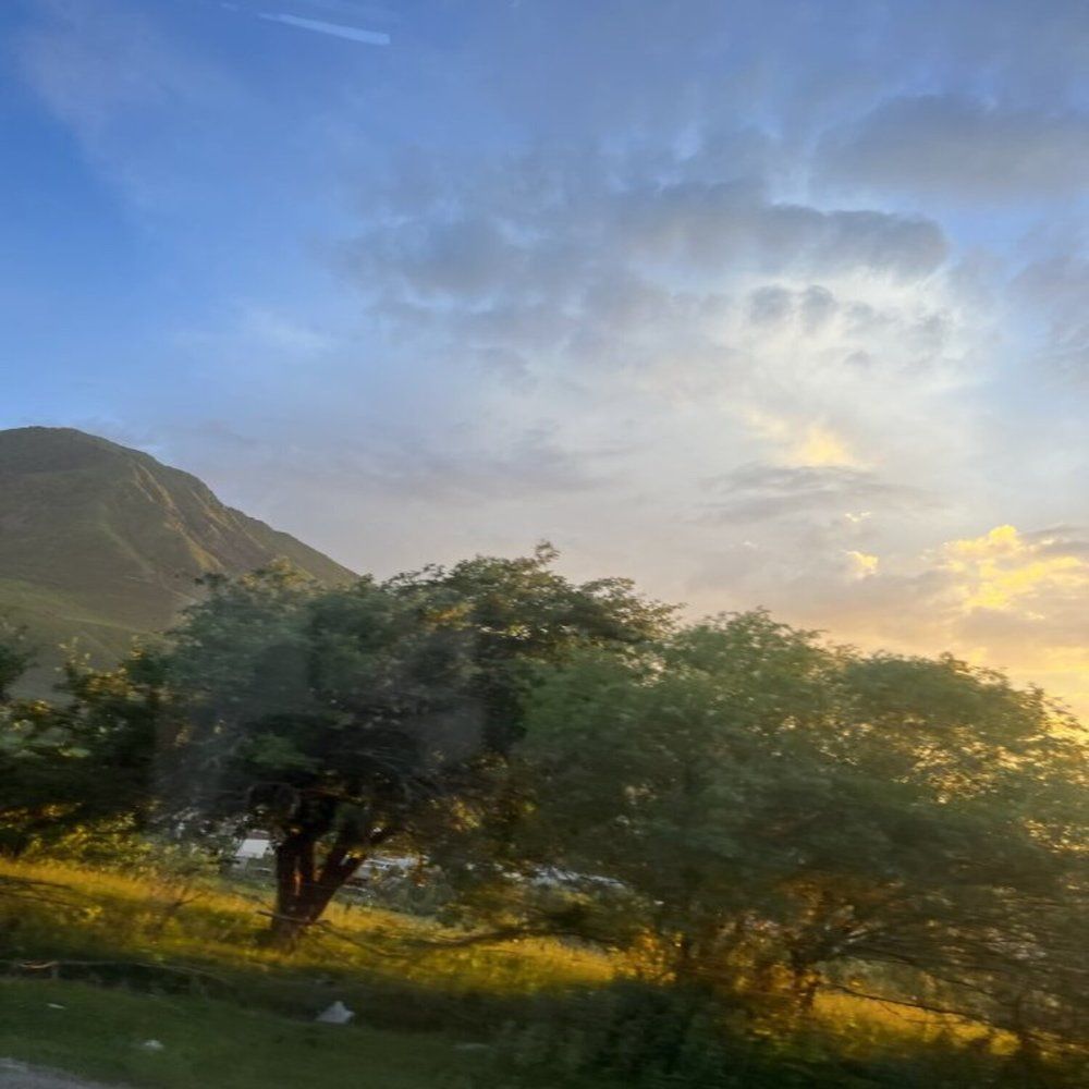 Photograph by Елена