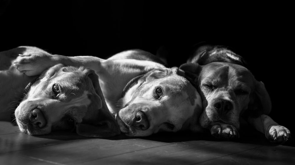 Photograph by Юлия Куликова