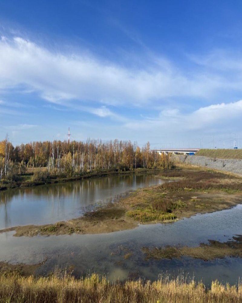 Photograph by Елена