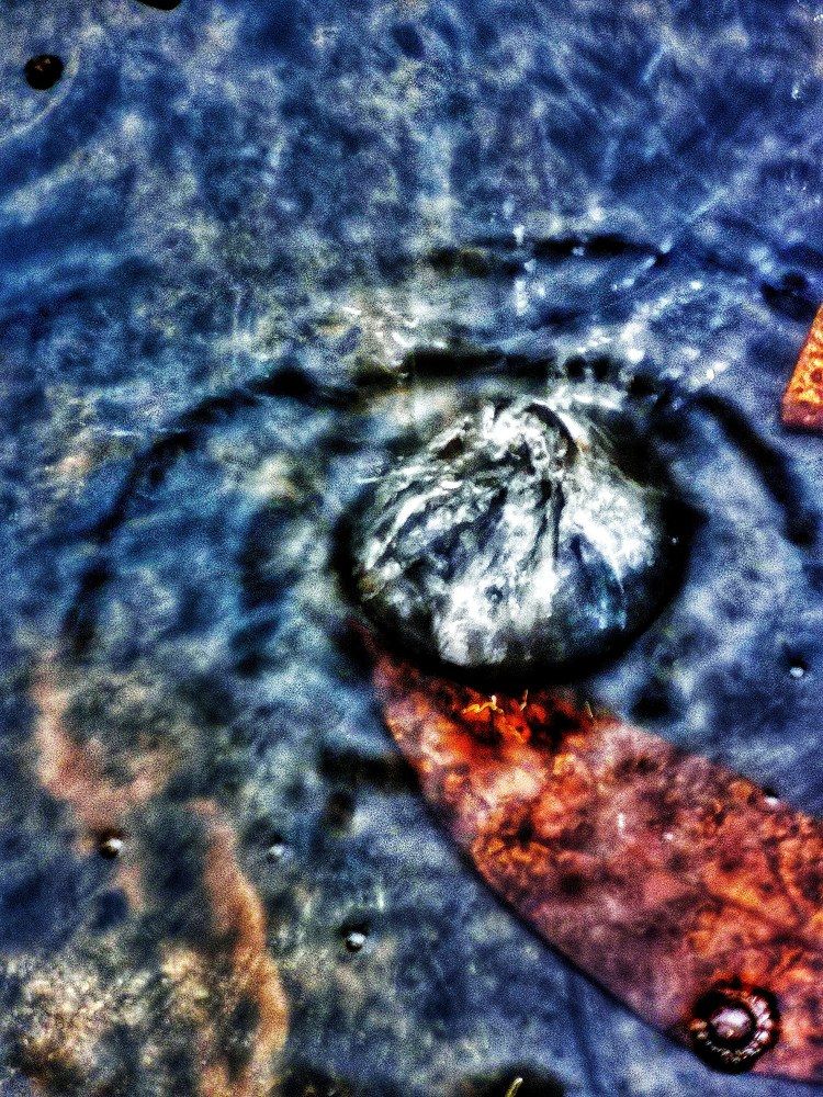 Photograph by Nikolett Mengyi