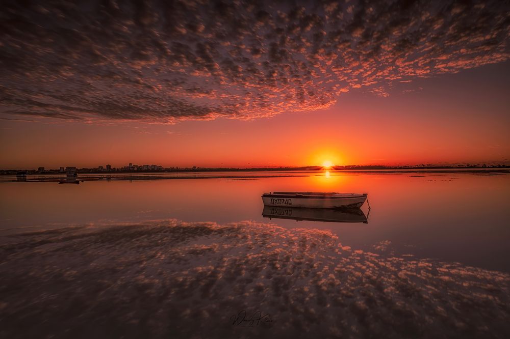 Photograph by wendy klein