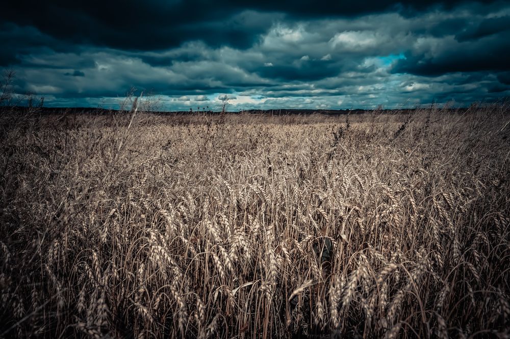 Photograph by Николай Зиновьев