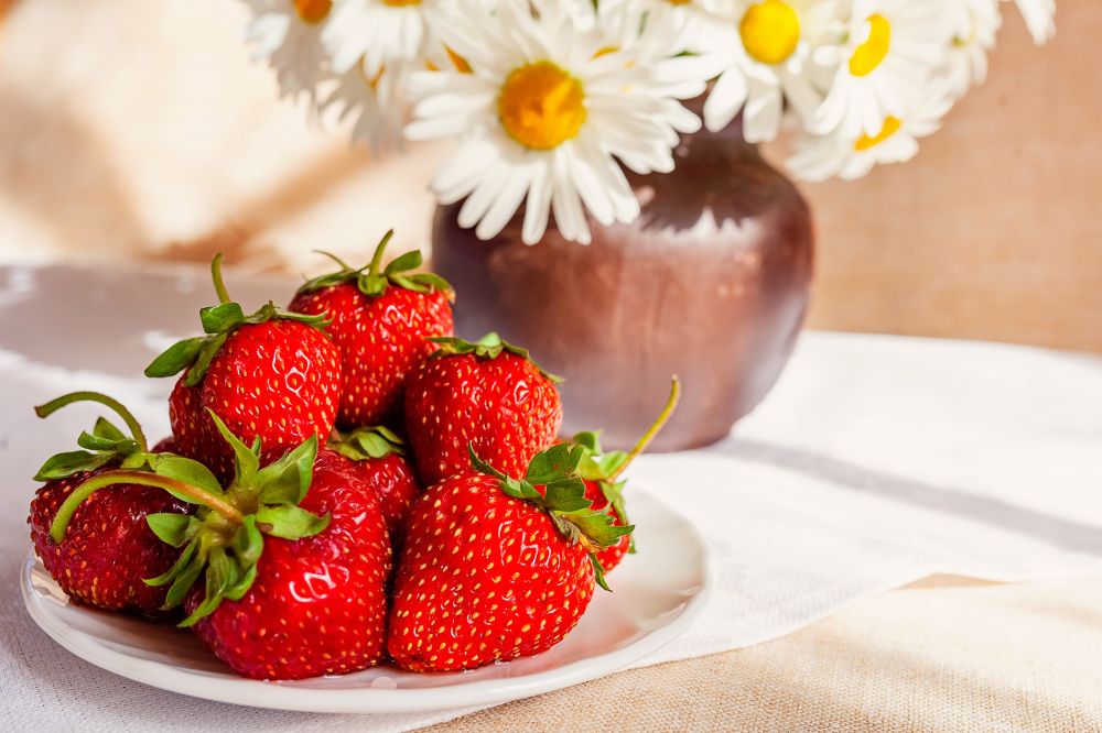 Фотография автора Альбина Кадочникова