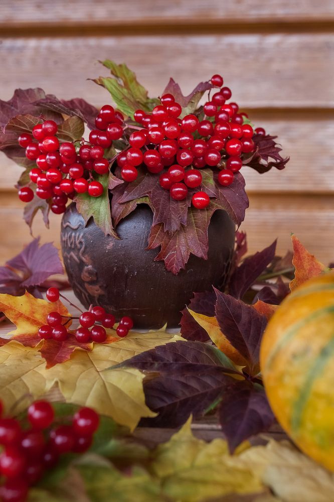Фотография автора Альбина Кадочникова