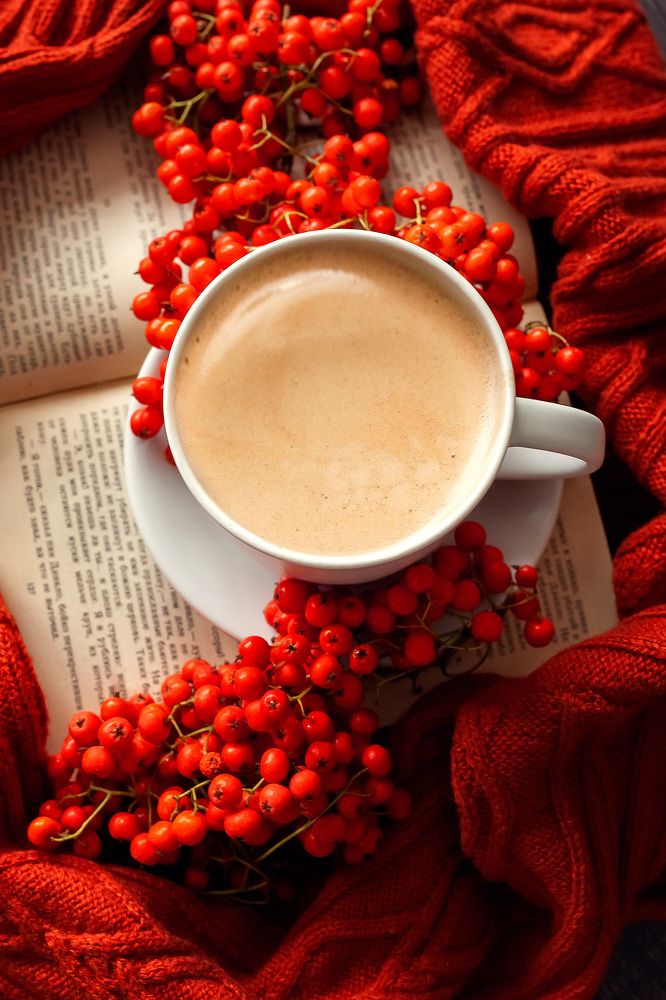 Фотография автора Альбина Кадочникова