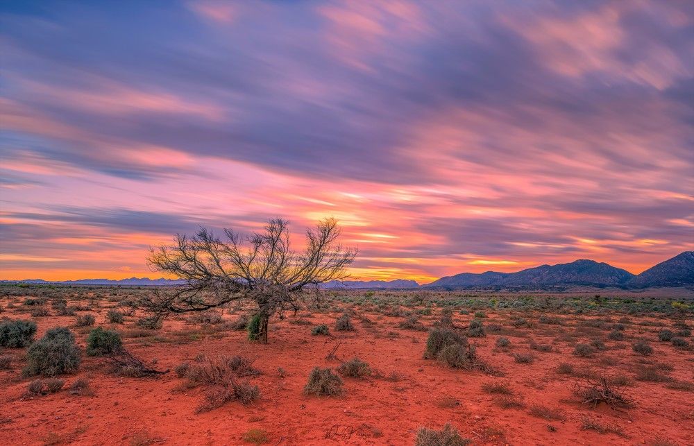 Photograph by wendy klein