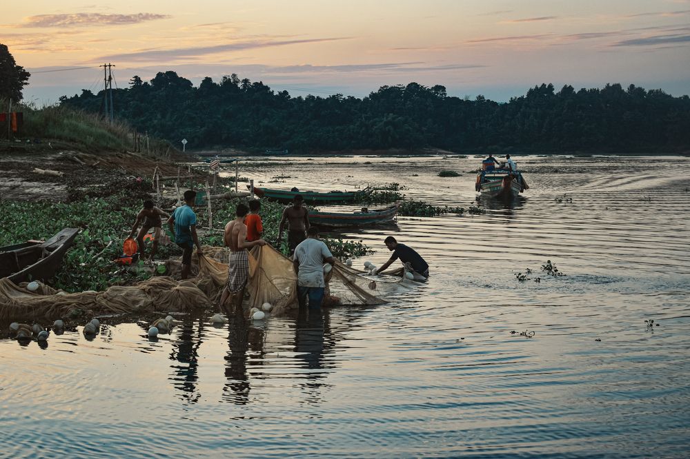 Фотография автора Mahbuba Afroz Samia