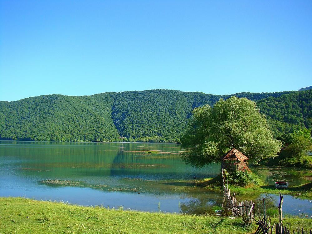 Photo #8368862