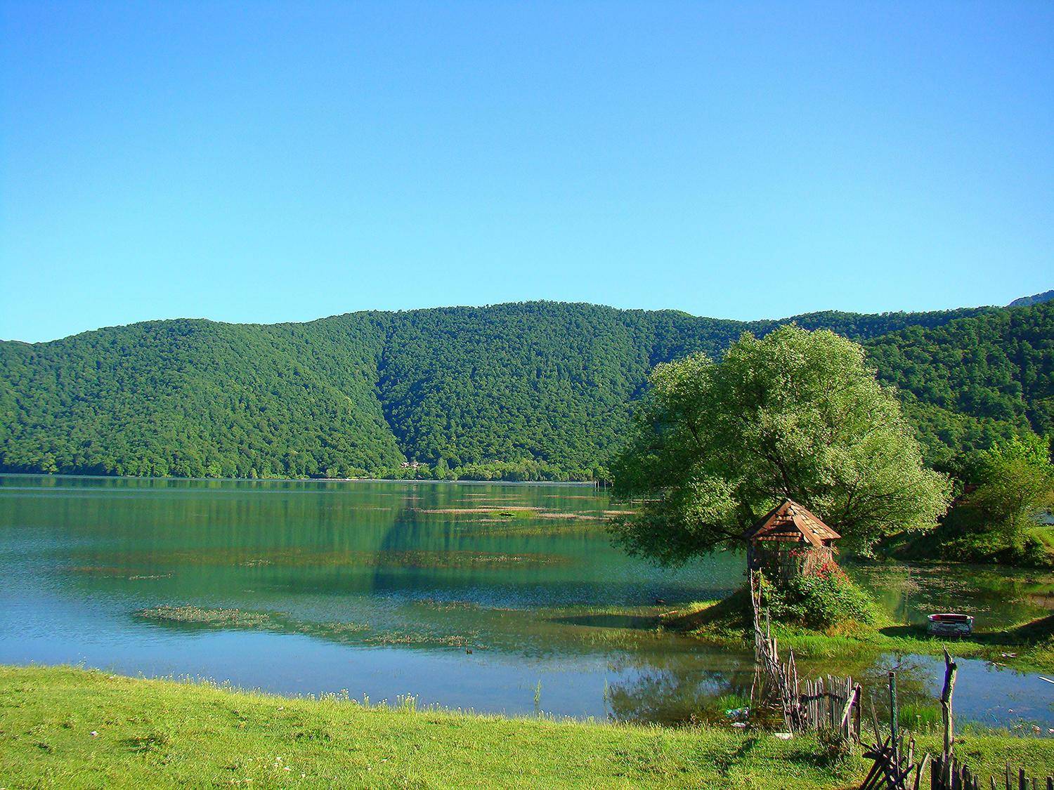 Photo #8368862