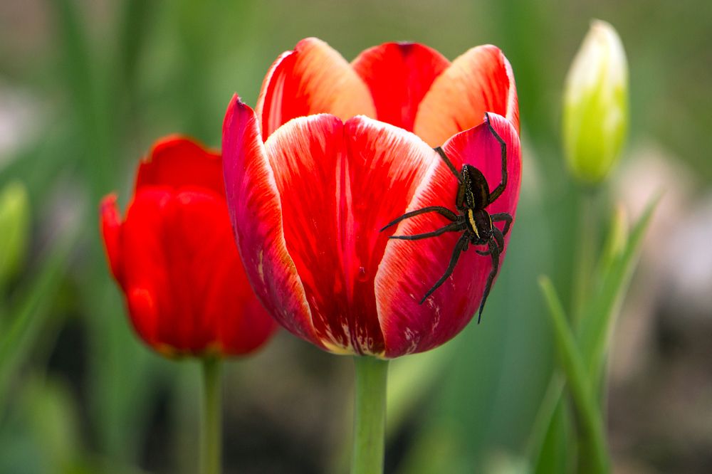 Photograph by Александр Кузнецов