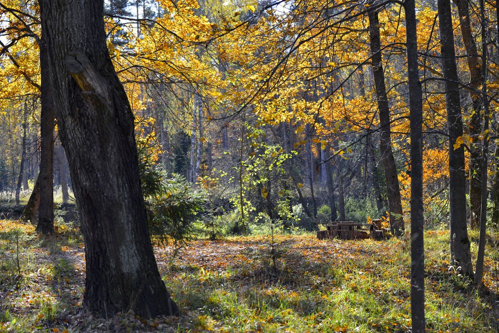 Photograph by Юрий Бичеров