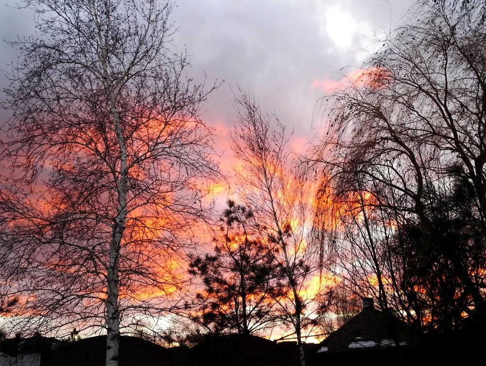 Photograph by Тамара Багровская