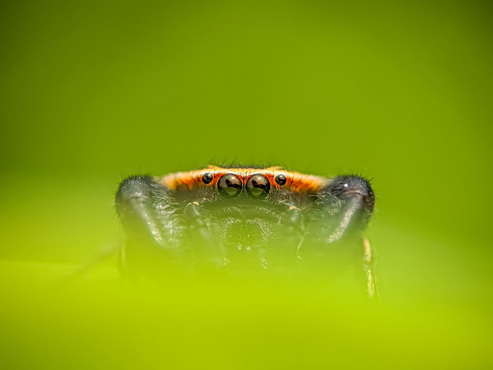 Photograph by Md Raihan