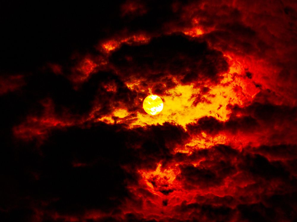 Photograph by Soumya Seal