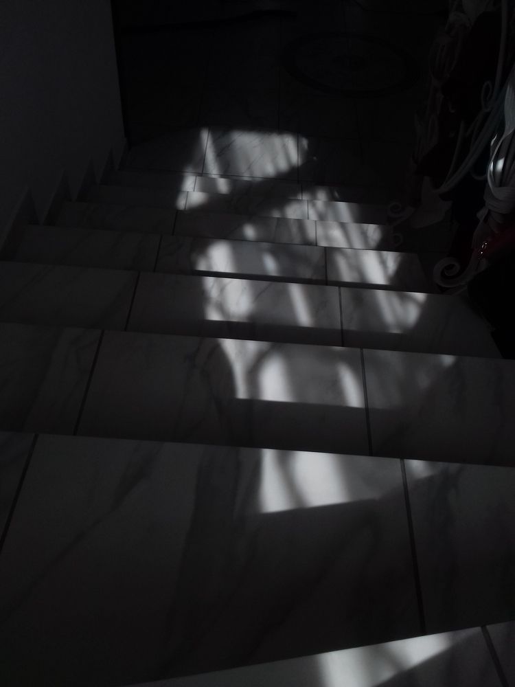 Photograph by Кристина Присакарь