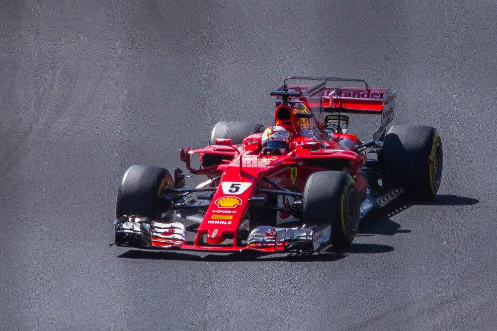 Фотография автора Minja Jovetic