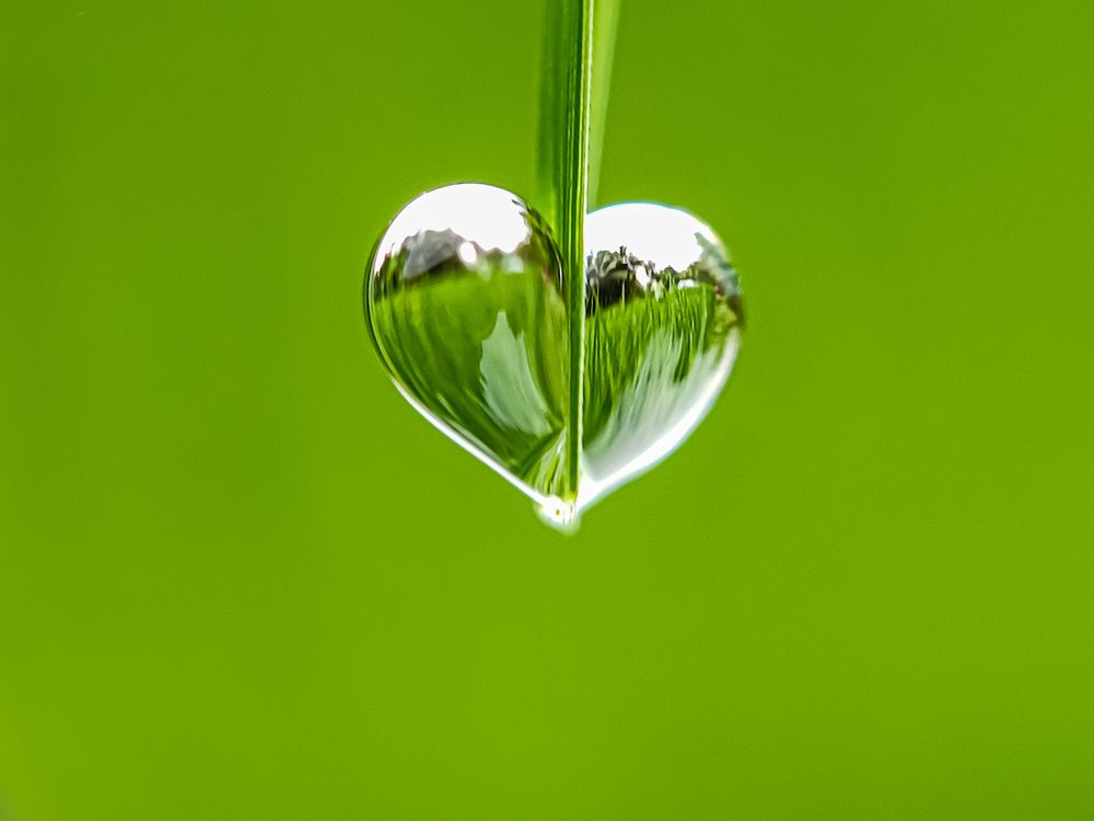 Photograph by Md Raihan