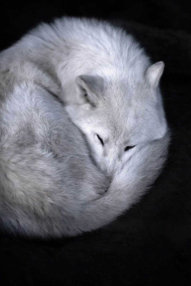 Photograph by Юлия Поликарпова