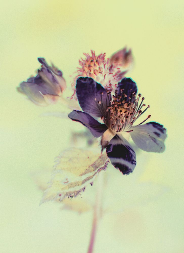 Photograph by Баженова Наталья