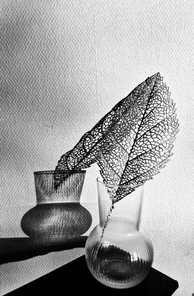 Photograph by Vera Nefedova