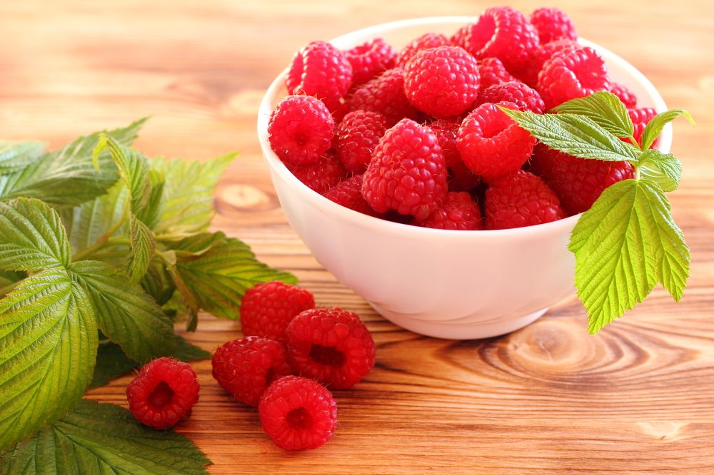 Photograph by Надежда Гриднева