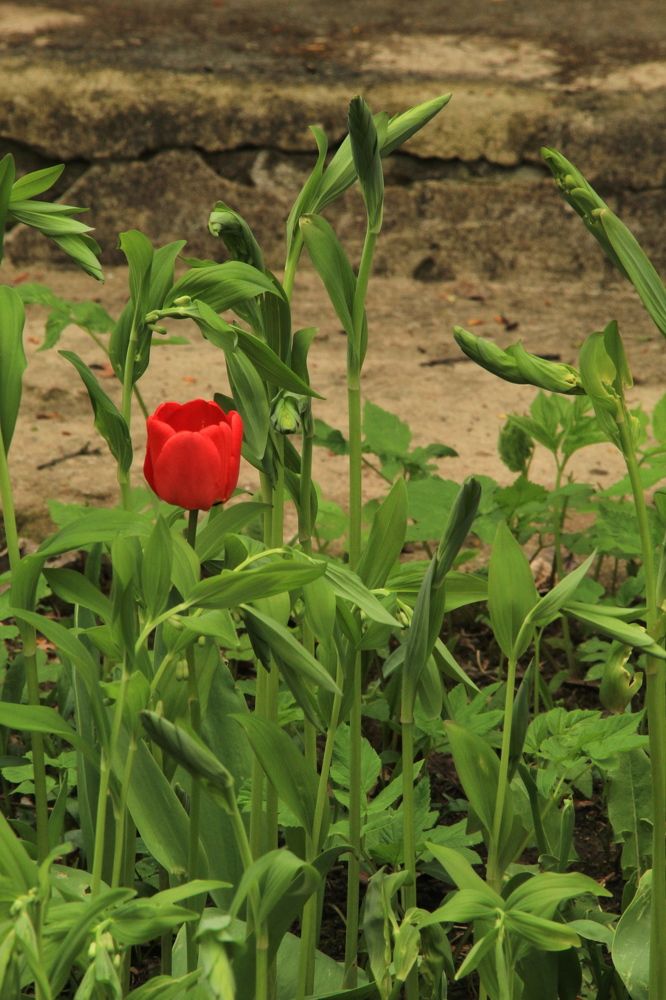 Photograph by Илья Беликов